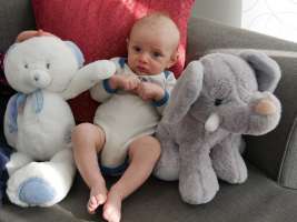 louis